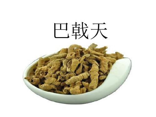 巴戟天