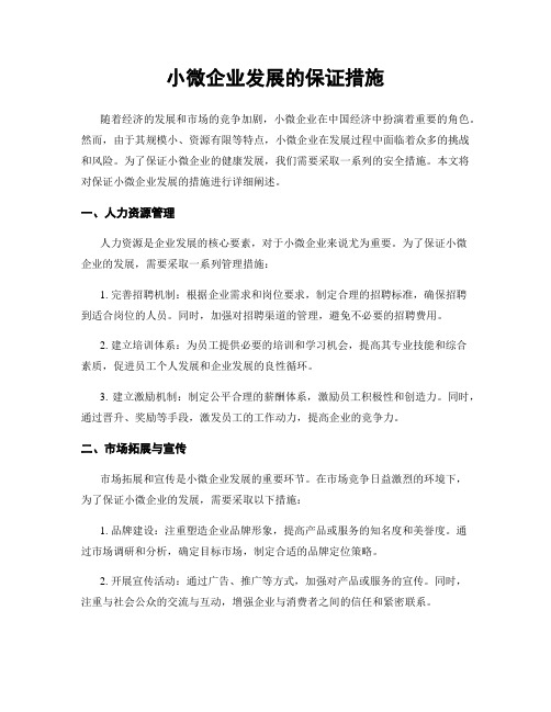 小微企业发展的保证措施