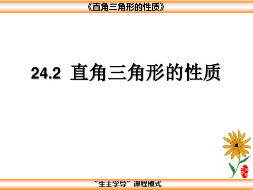 直角三角形的性质PPT教学课件