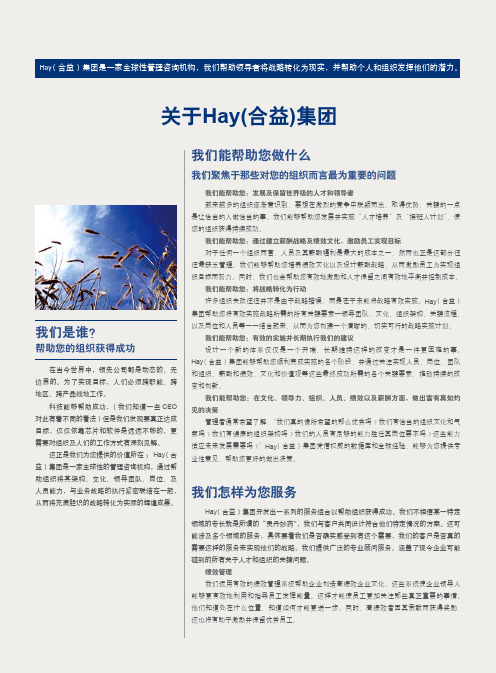 关于Hay(合益)集团