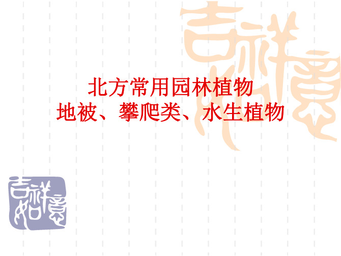 常用园林植物 地被、攀爬、水生