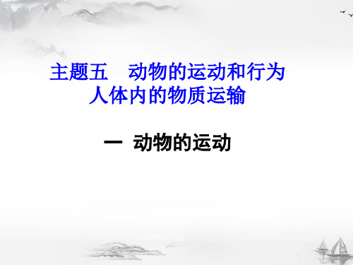 北京延庆区初中生物总复习主题五：动物的运动和行为