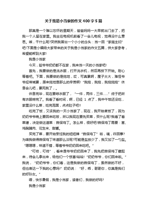 关于我是小当家的作文400字5篇