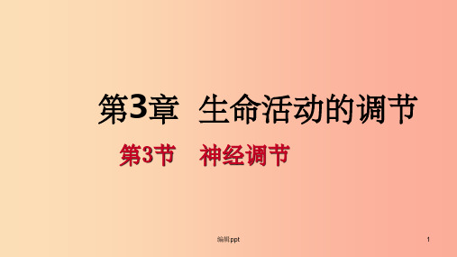 201X年秋八年级科学上册 第3章 生命活动的调节 3.3 神经调节 3.3.1 神经调节的基本过程