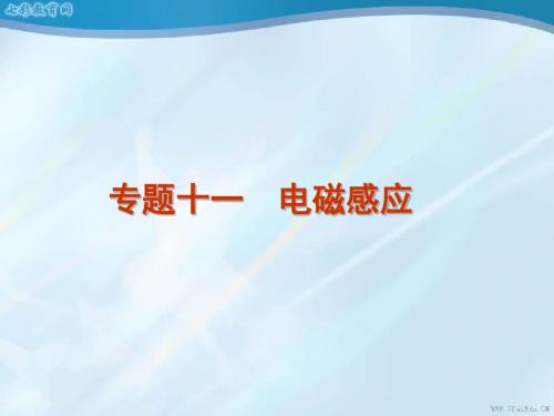 2012届高考物理第二轮专题复习方案课件电磁感应(精)