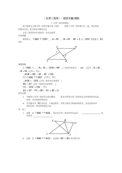 人教版八年级数学上册《全等三角形》培优专题训练(含答案)