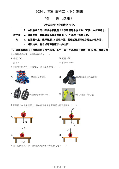 2024北京朝阳八年级(下)期末物理(教师版)