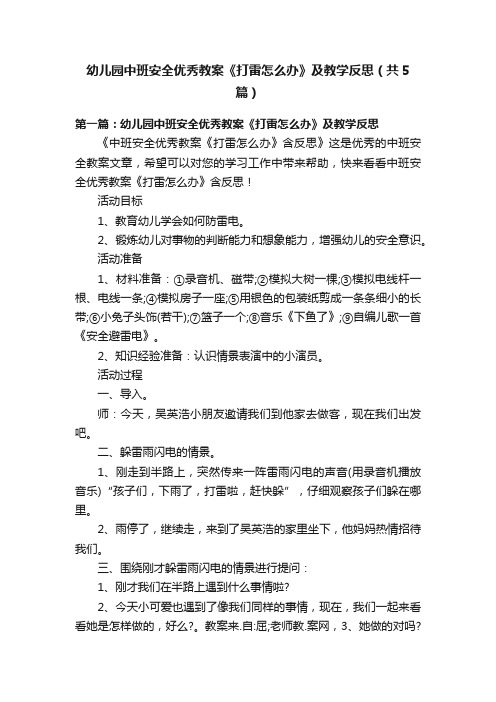 幼儿园中班安全优秀教案《打雷怎么办》及教学反思（共5篇）