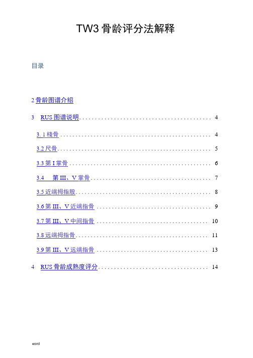 TW3骨龄评分法解释