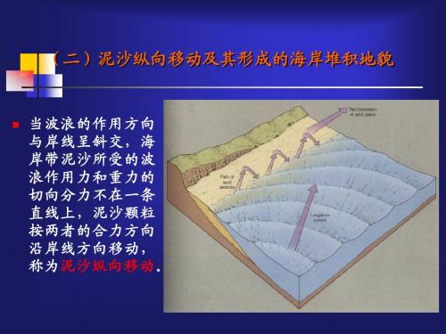 第15讲 海岸地貌2