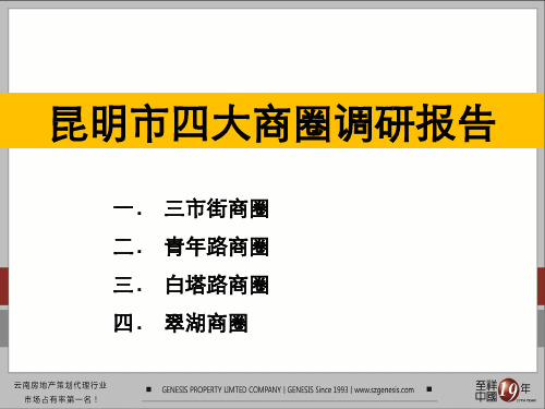 昆明四大商圈调研报告