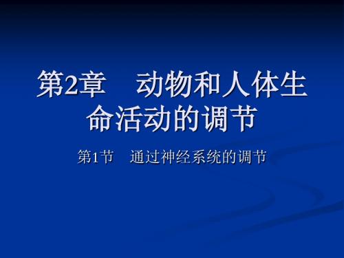 人教版教学课件通过神经系统的调节(1)课件