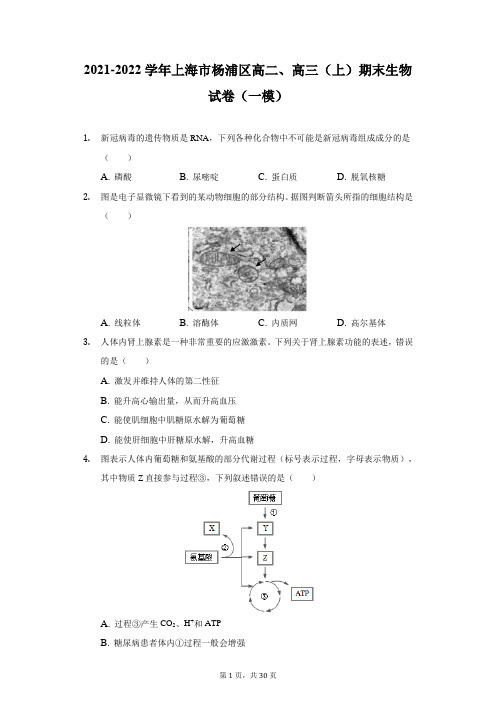 2021-2022学年上海市杨浦区高二、高三(上)期末生物试卷(一模)(附详解)