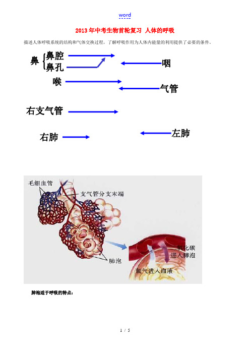 2013年中考生物首轮复习 人体的呼吸