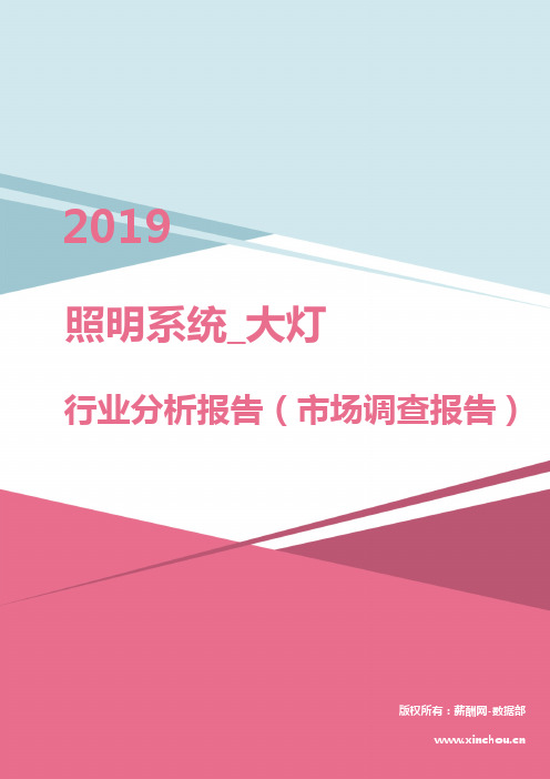 2019年照明系统_大灯行业分析报告(市场调查报告)