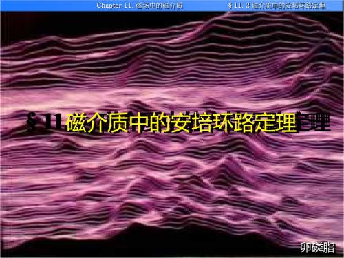 2019年高中物理奥林匹克竞赛专题§112磁介质中的安培环路定理语文