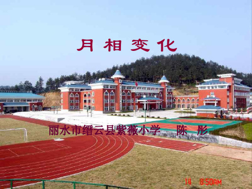 小学科学月相变化图