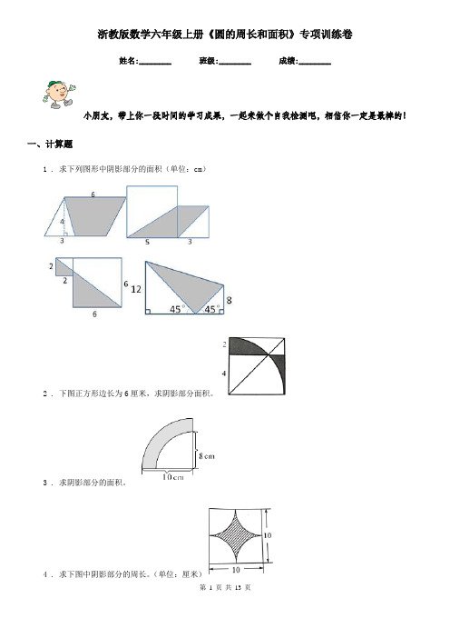 浙教版数学六年级上册《圆的周长和面积》专项训练卷