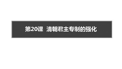 部编版七年级历史下册  清朝君主专制的强化 (4)