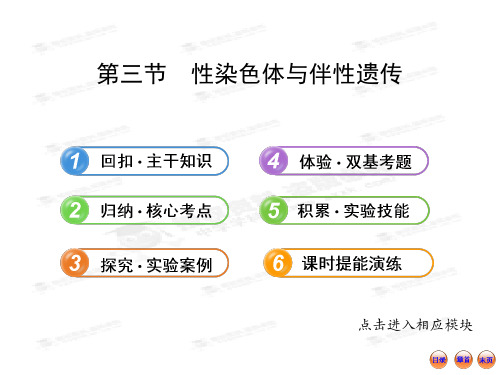 【最新】版高中生物全程复习方略配套课件(浙科版·浙江专用)：2.2.3性染色体与伴性遗传