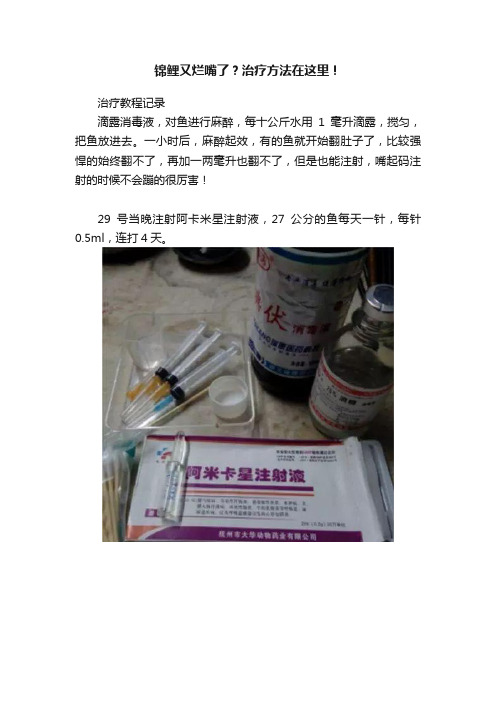 锦鲤又烂嘴了？治疗方法在这里！