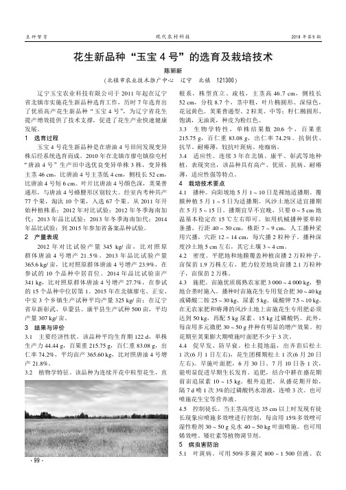 花生新品种“玉宝4号”的选育及栽培技术