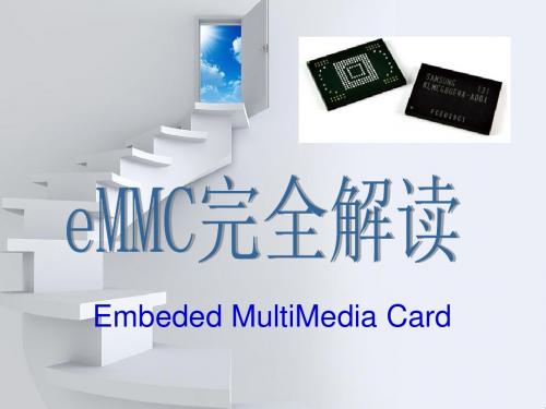 新编文档-行业界最权威的eMMC烧录器、eMMC拷贝机完全解读(2)-精品文档
