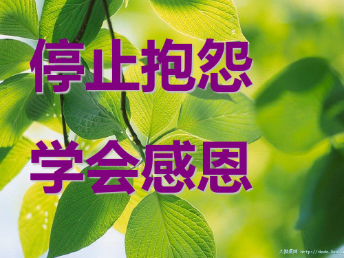 停止抱怨学会感恩PPT课件