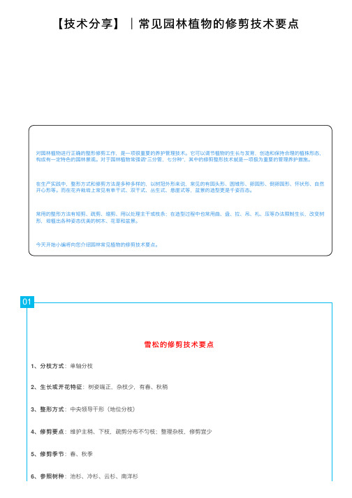 【技术分享】│常见园林植物的修剪技术要点