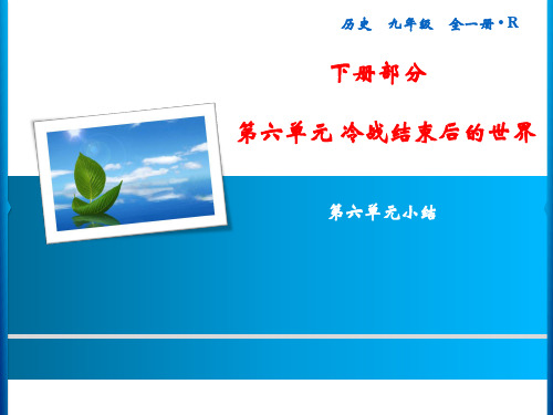 人教版  历史 九年级 全 下册 第6单元  冷战结束后的世界  小结