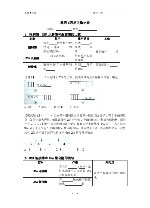 基因工程相关酶比较