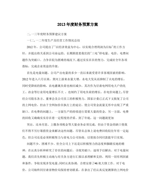 2013年度财务预算方案