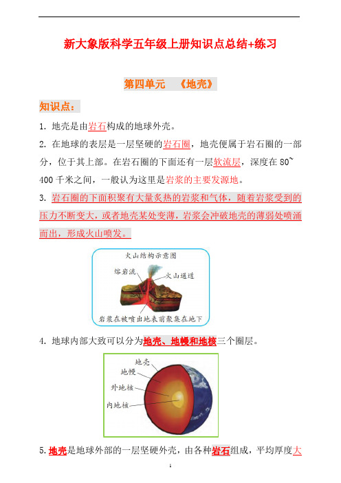 新大象版科学五年级上册第四单元知识点总结+练习(含答案)