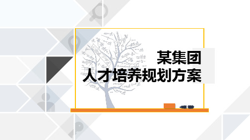 集团人才培养规划方案