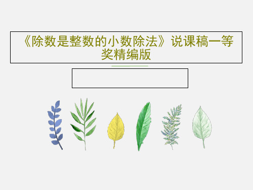 《除数是整数的小数除法》说课稿一等奖精编版共24页文档