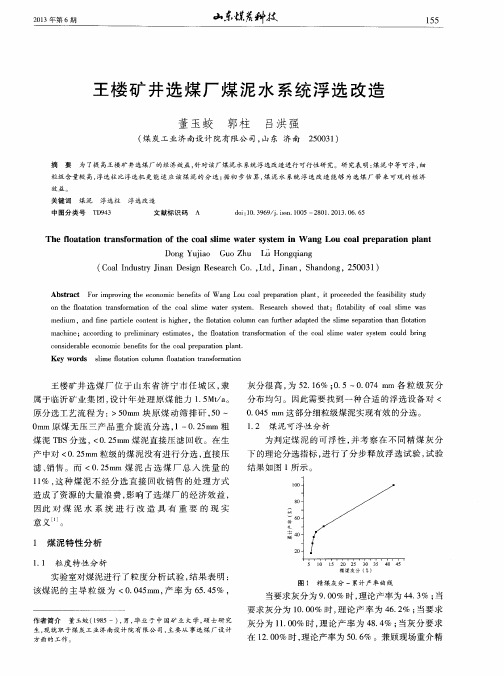 王楼矿井选煤厂煤泥水系统浮选改造