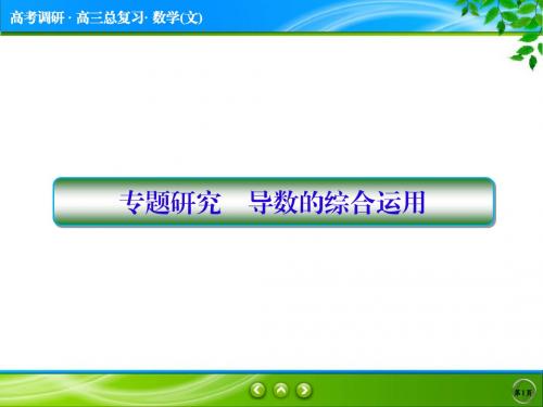 高2020届高2017级高考调研第一轮复习文科数学课件3-专题研究