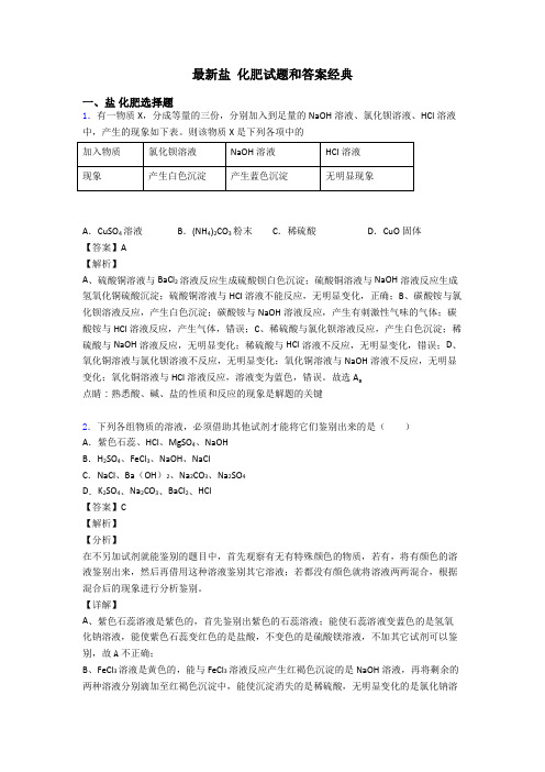 最新盐 化肥试题和答案经典