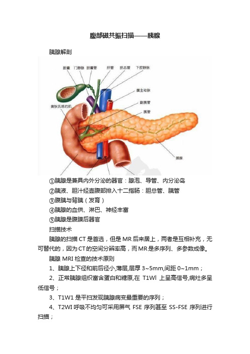 腹部磁共振扫描——胰腺