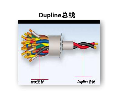 Dupline总线