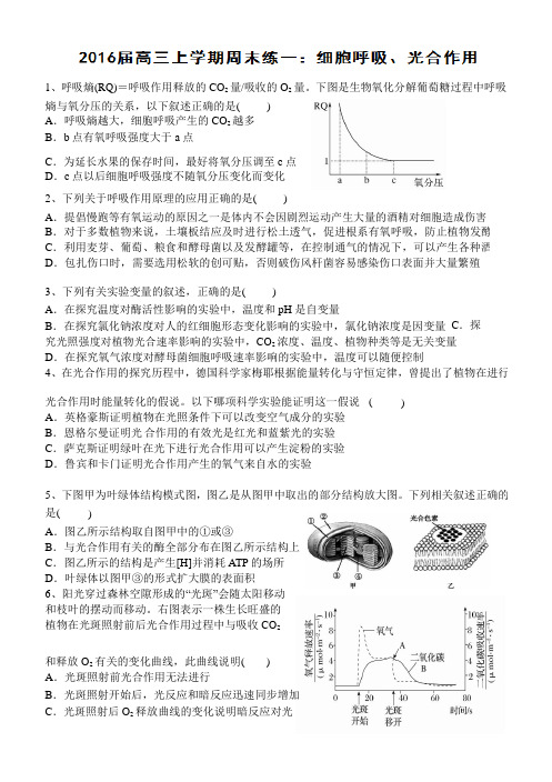 【全国百强校】湖南省长郡中学2016届高三上学期第一次周末练生物试题