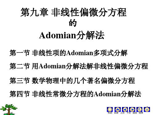 微分方程PPT(罗兆富等编)第九章 非线性偏微分方程的Adomian分解法