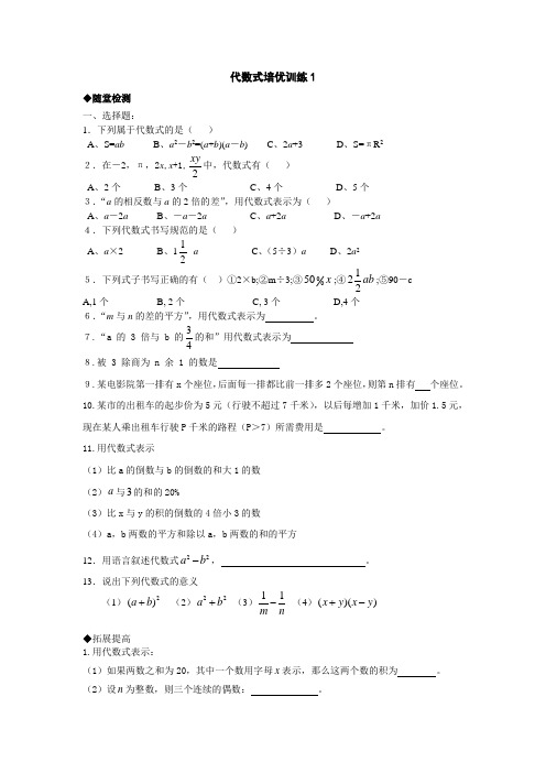 代数式培优1