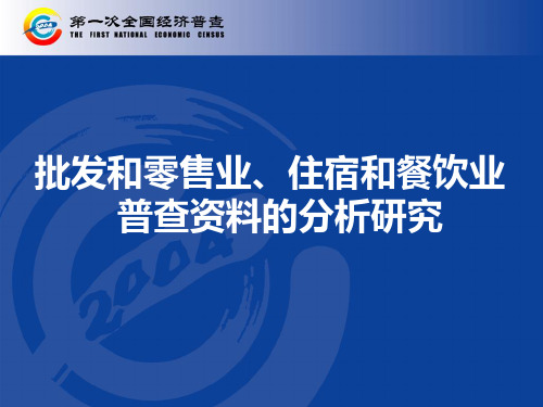 批发和零售业、住宿和餐饮业普查资料的分析研究(ppt21)(1)