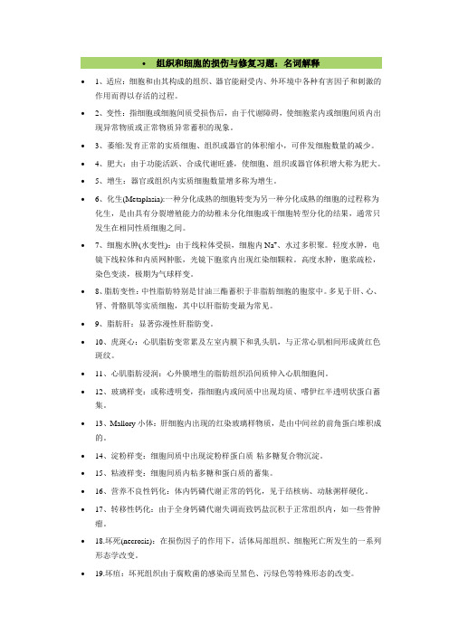 病理考试名词解释与简答题损伤的修复