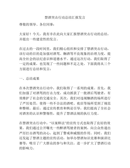 禁酒突击行动总结汇报发言