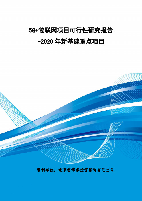 5G+物联网项目可行性研究报告-2020年新基建重点项目