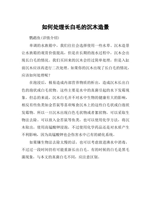 如何处理长白毛的沉木造景
