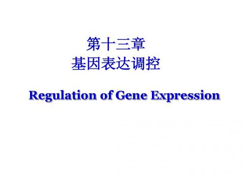 南华大学 生物化学第13章基因表达调控