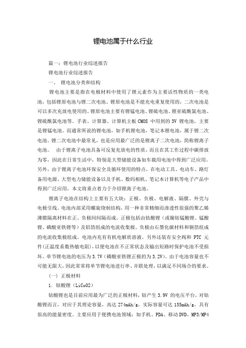 锂电池属于什么行业